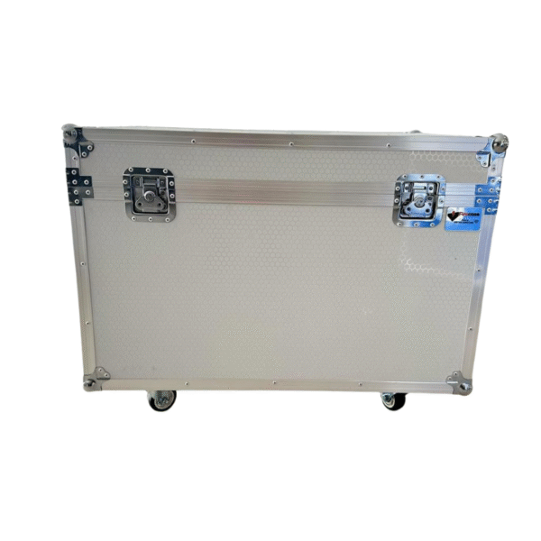 Double handle Case